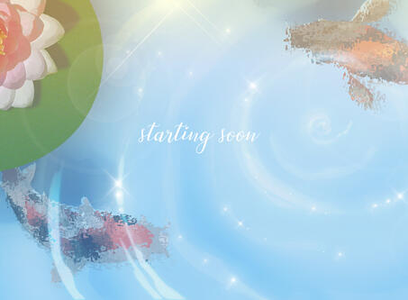 Koi Fish Screen @minaetea