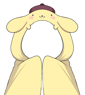 Sanrio Blanket @__himei